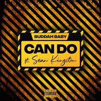 Can Do (feat. Sean Kingston)