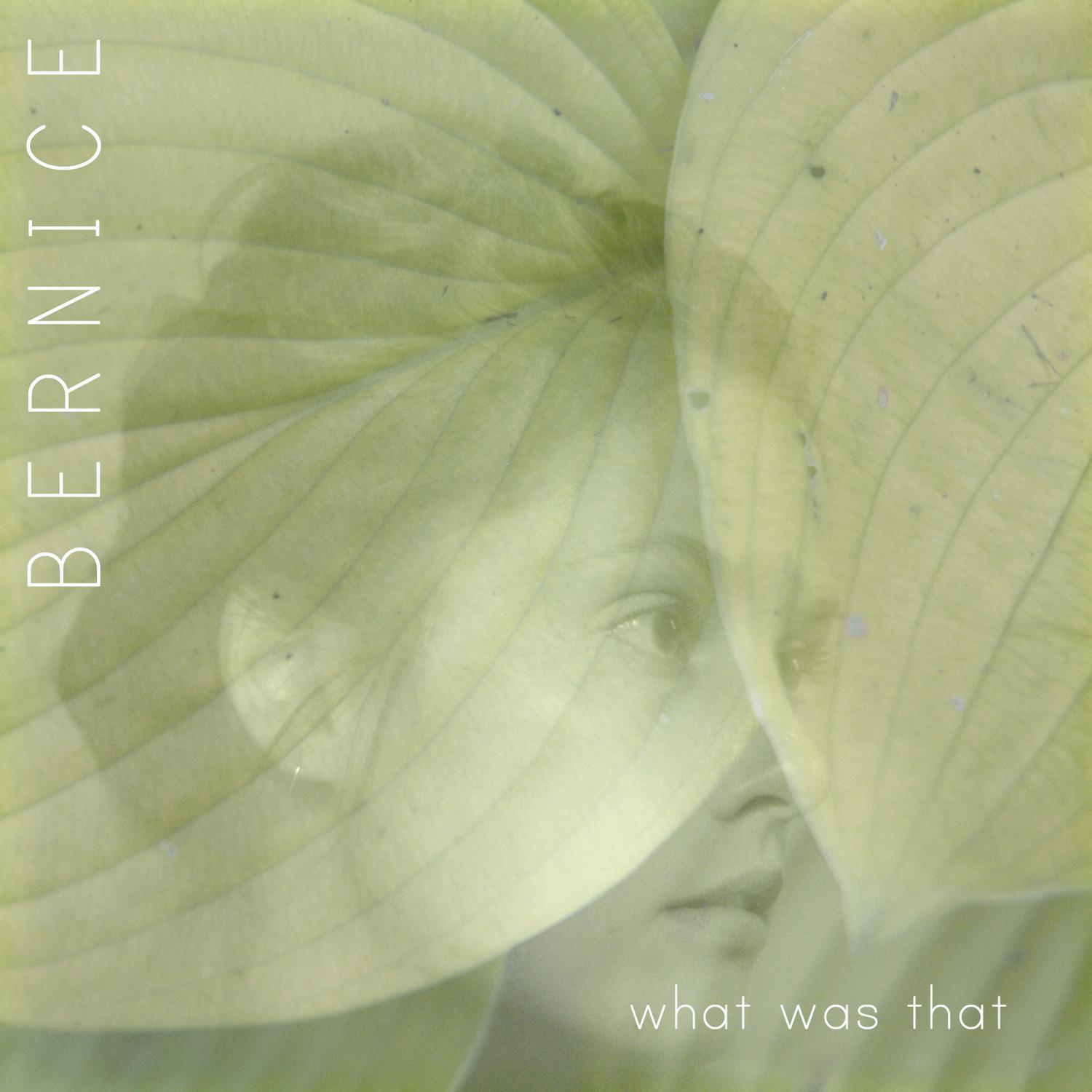 生成外链播放器点击打开客户端new bodies歌手：bernice所属专辑：what was th