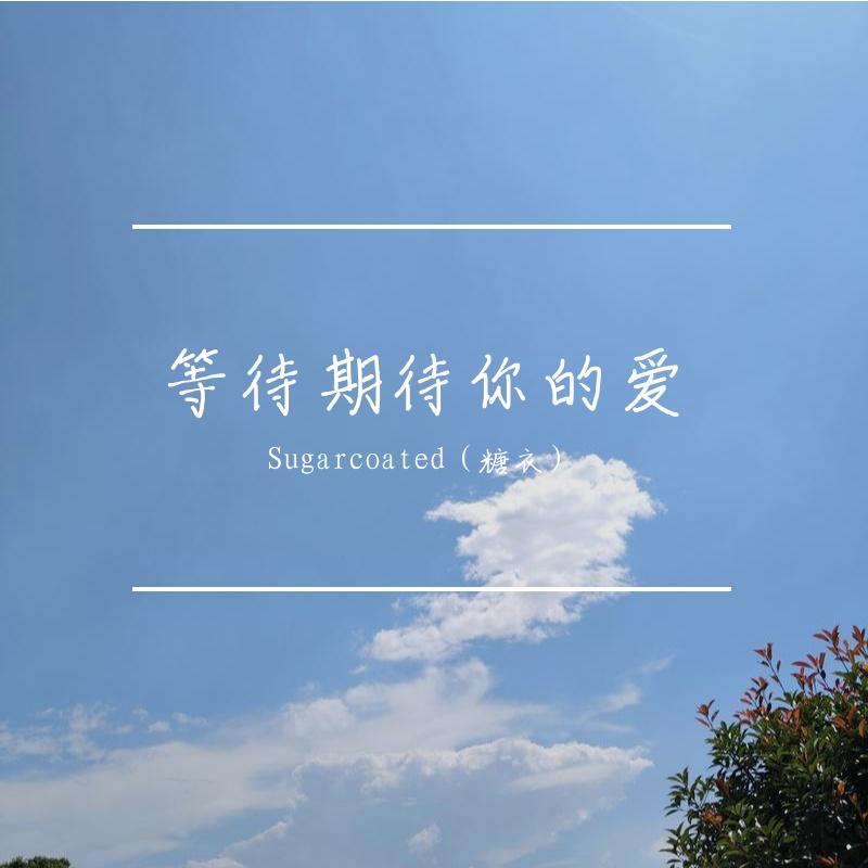 等待期待你的爱封面