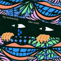 Fake Smile