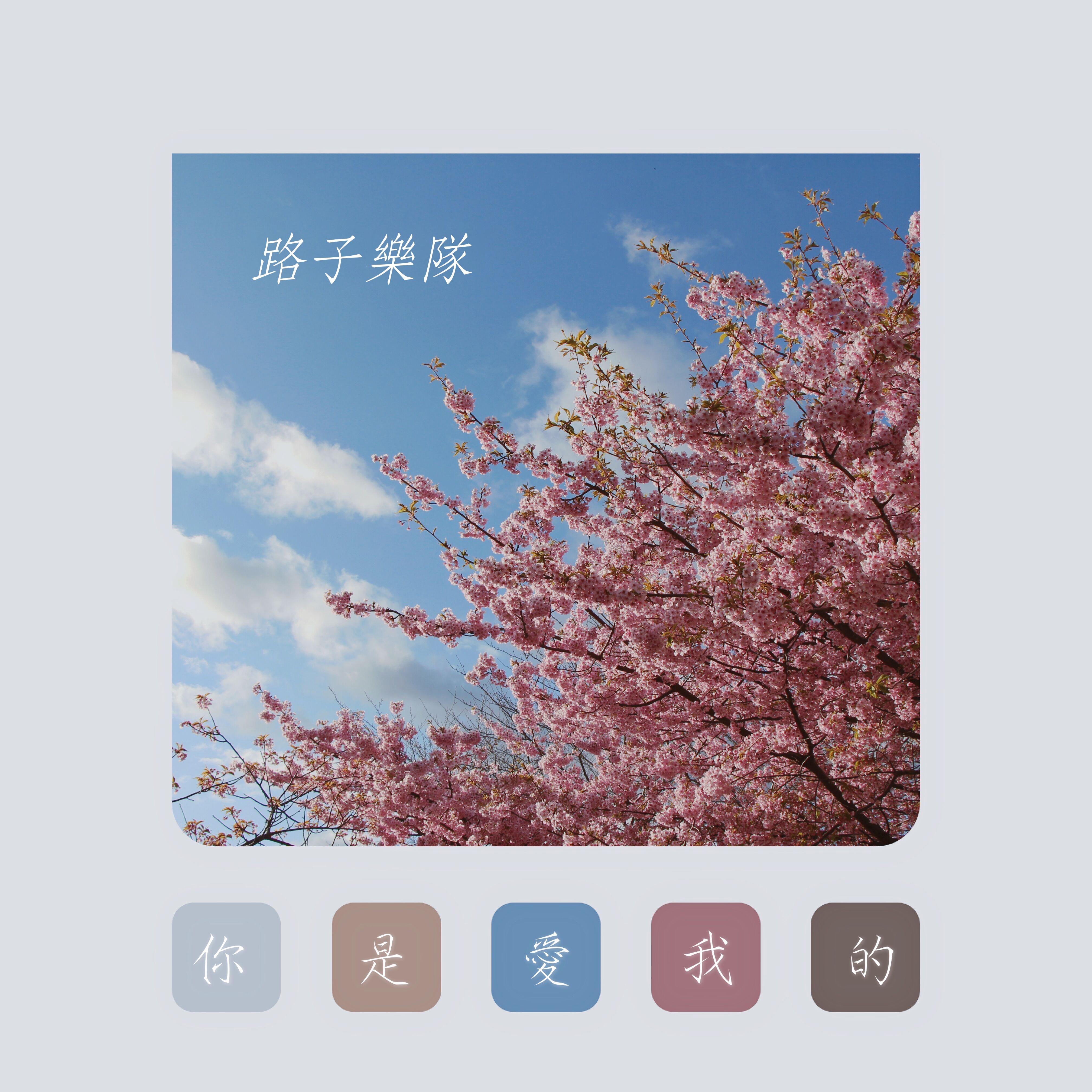 你是爱我的（EP Version） - 路子乐队封面