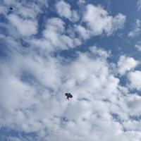 夜夜笙歌资料,夜夜笙歌最新歌曲,夜夜笙歌MV视频,夜夜笙歌音乐专辑,夜夜笙歌好听的歌