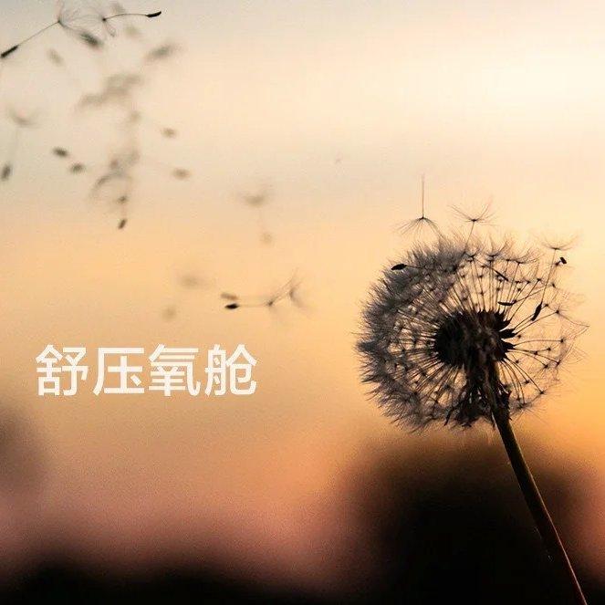 轻音乐丨舒缓静心 缓解疲劳 解压纯音乐松弛