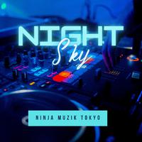Night Sky