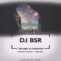 Trouble in Paradise