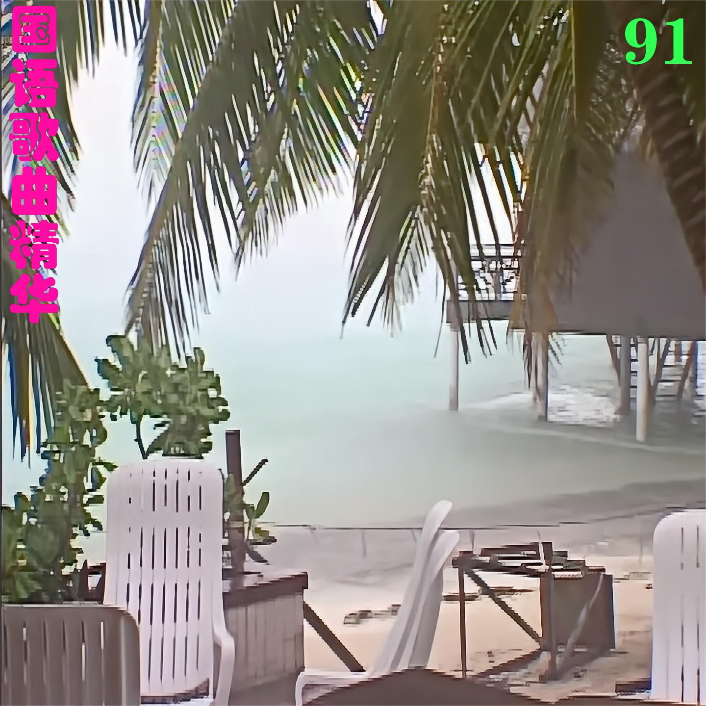 难以抗拒封面