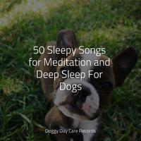 50 Sleepy Songs for Meditation and Deep Sleep For Dogs