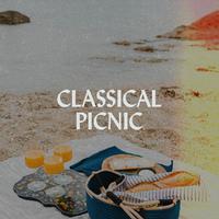 Classical Picnic