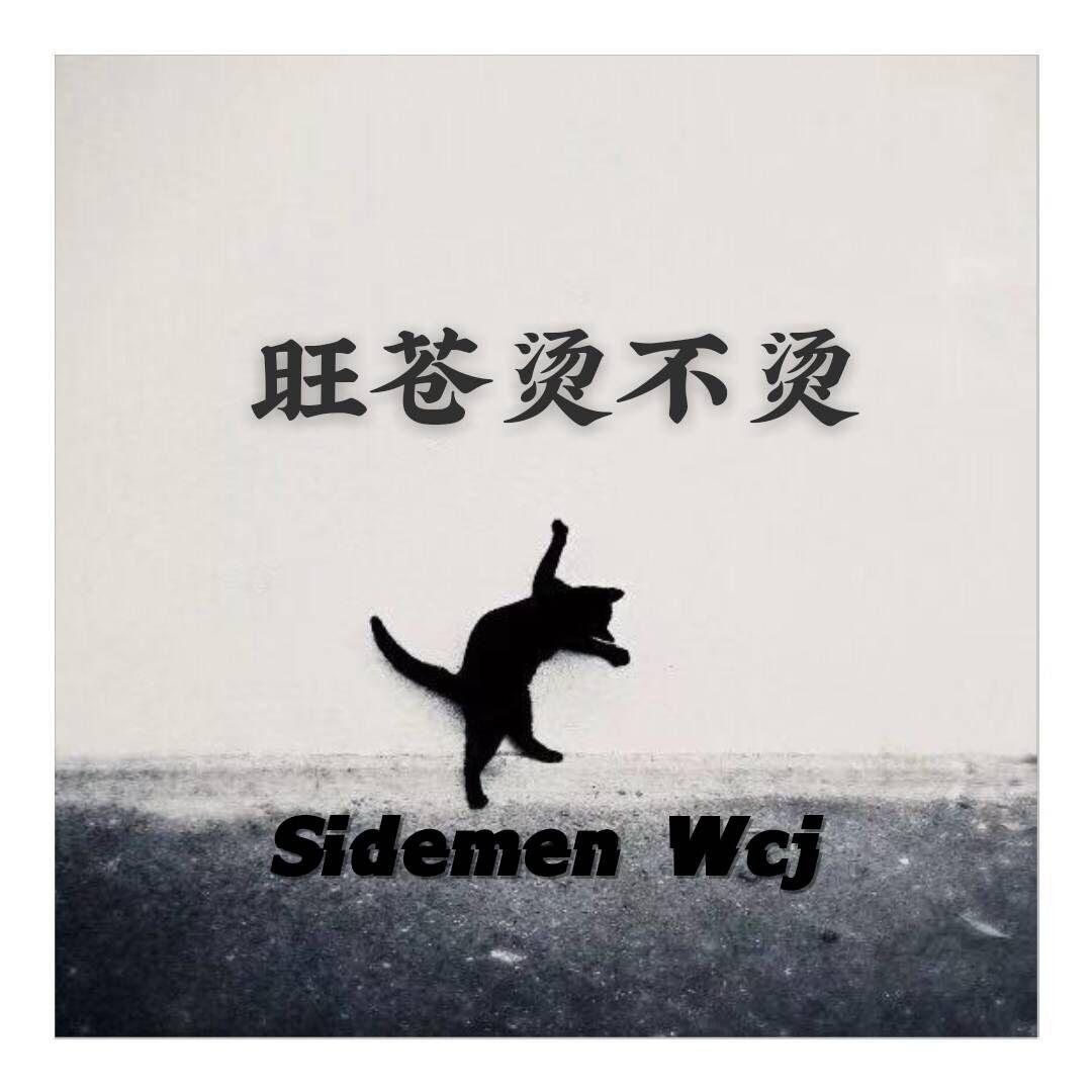 song-img