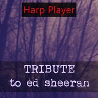 Tribute to Ed Sheeran