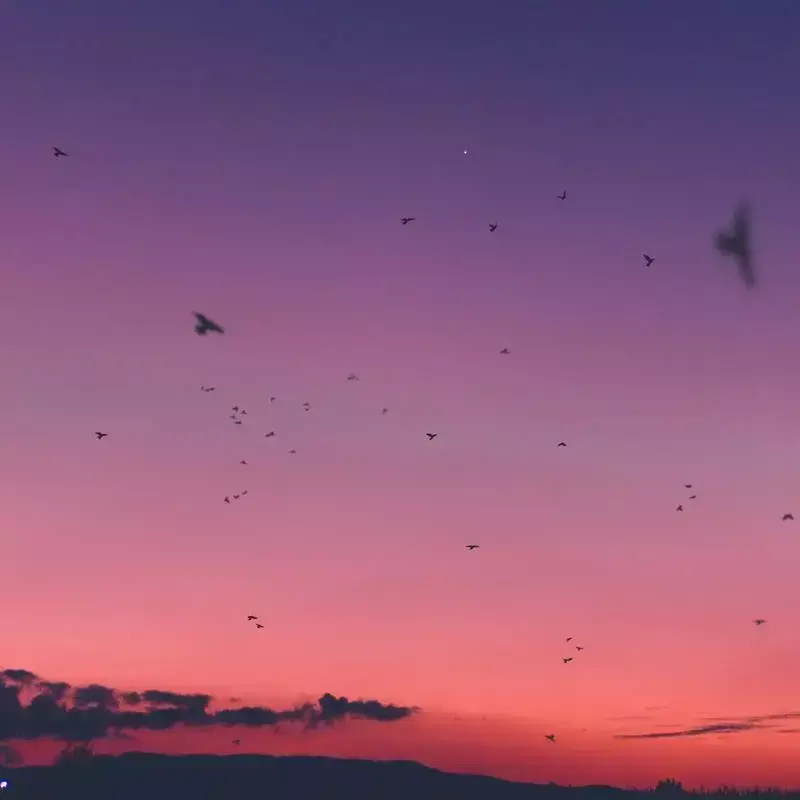 song-img