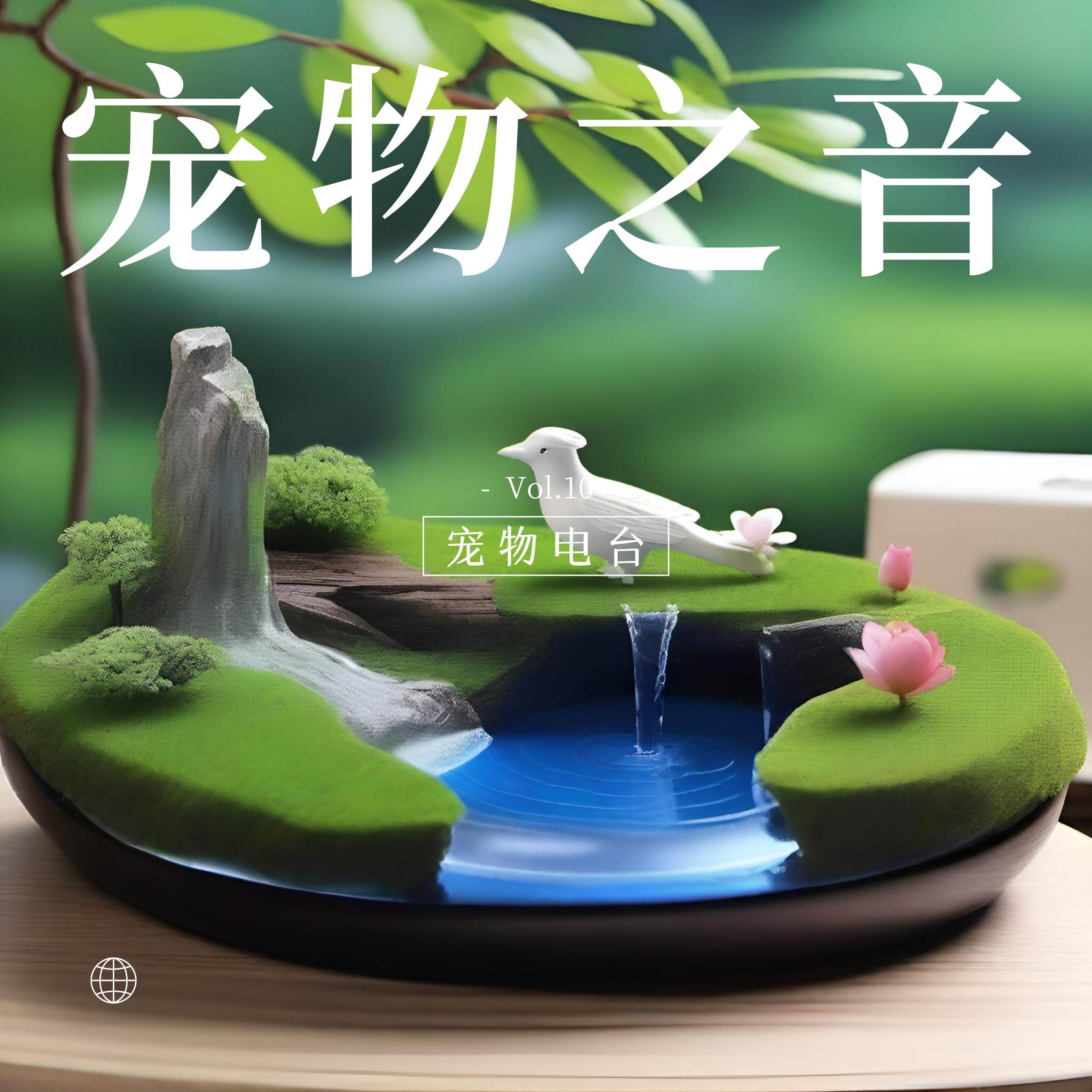 小猫的温馨 (（温暖陪伴宠物）铃版)封面