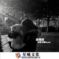 说好不哭 (DJ版)封面