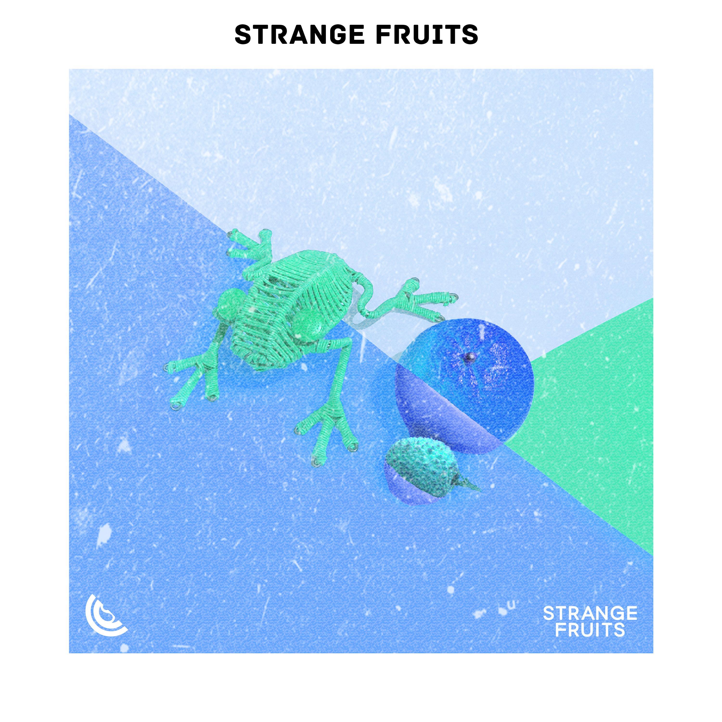 Collage (Freakpass Remix)