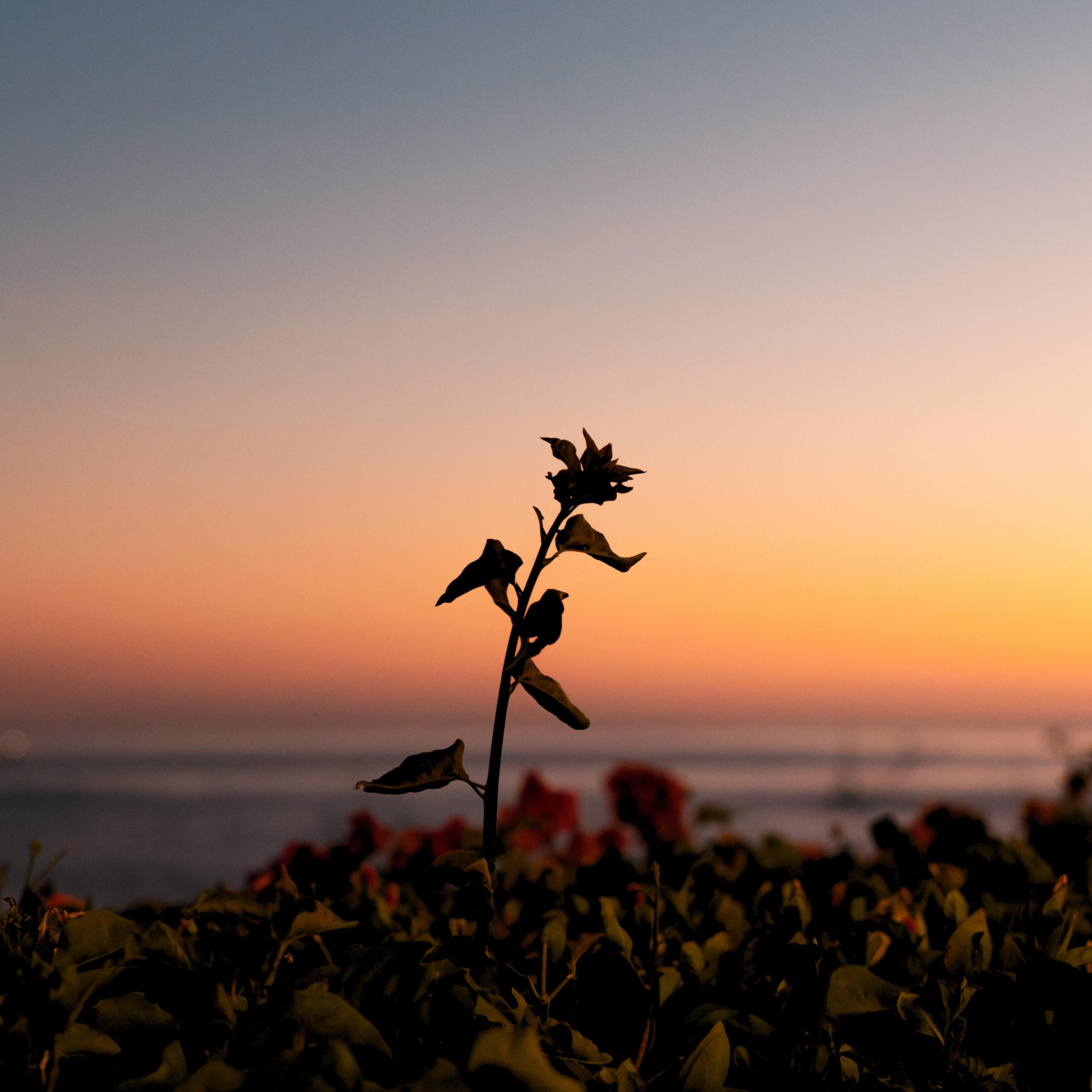 Love. (wave to earth) - Piano Version