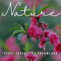 Nocturnal Harmony: Sonic Journeys for Deep Sleep