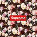 夏天来了又走了0629