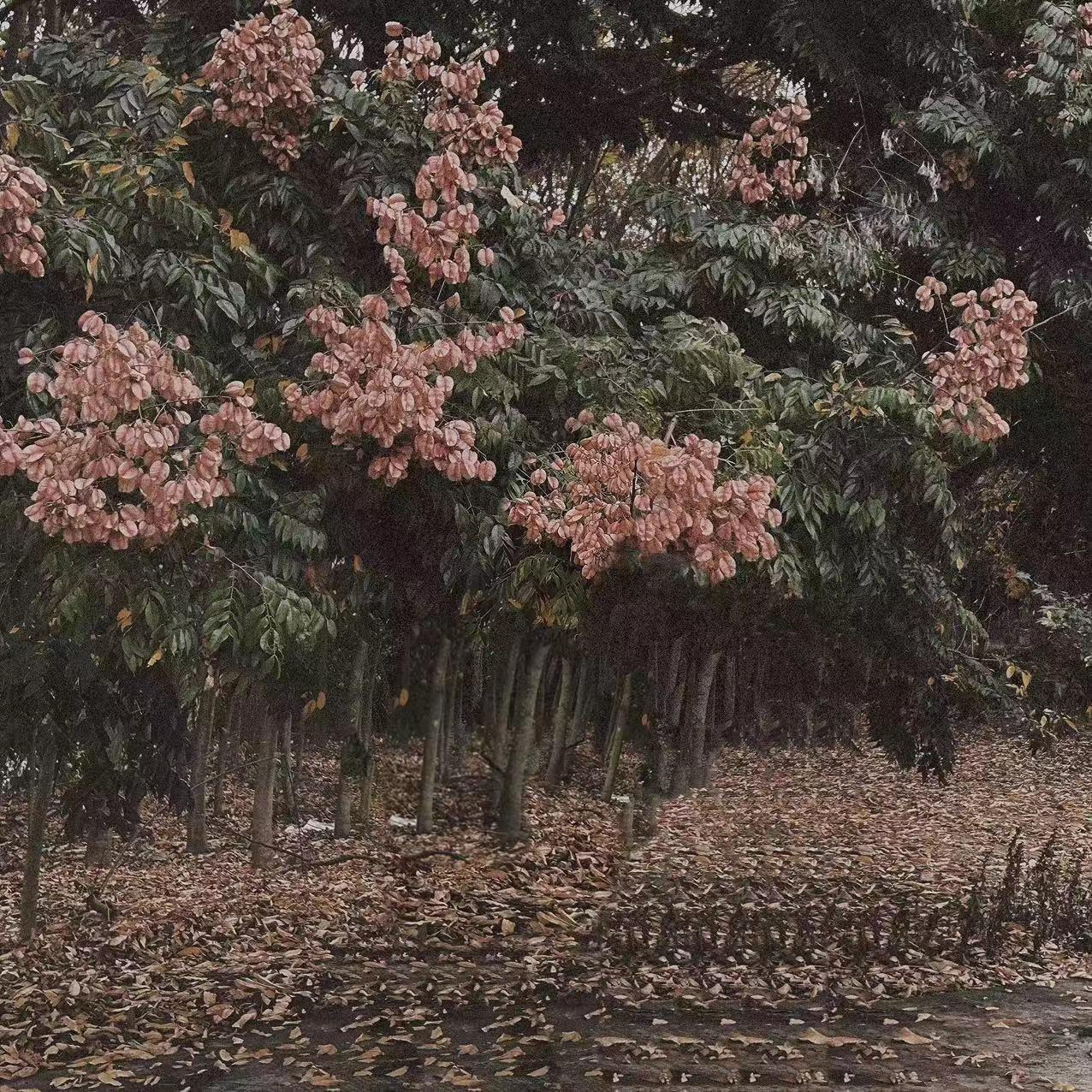 Playlist|私藏歌单R&B来自清晨夜晚的慵懒