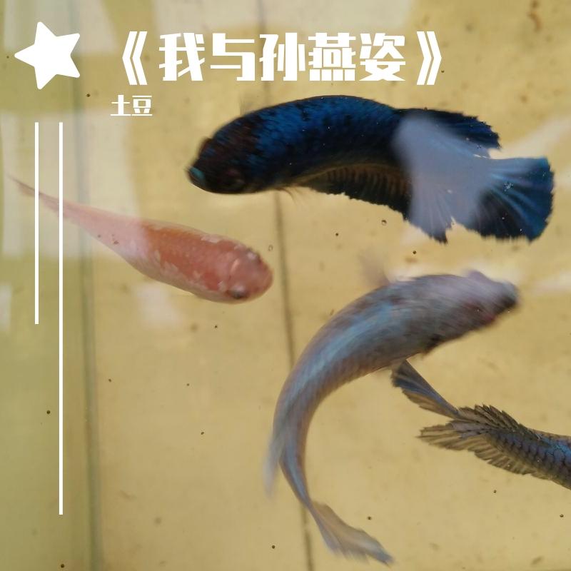 《当冬夜渐暖》封面