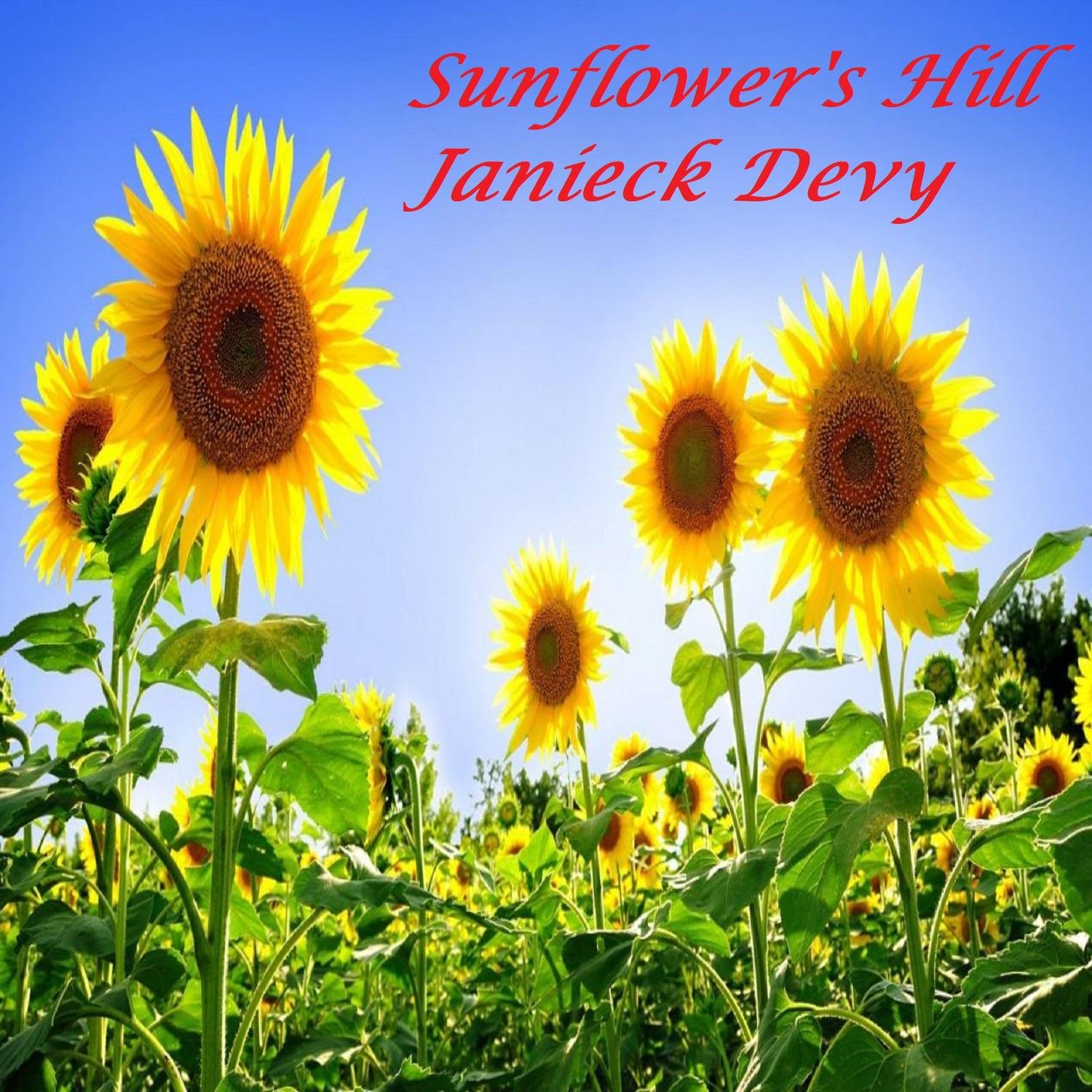 Sunflower's Hill