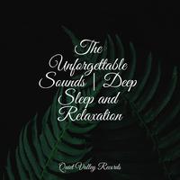 The Unforgettable Sounds | Deep Sleep and Relaxation