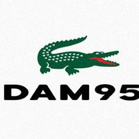 DAM95