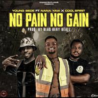 No Pain No Gain