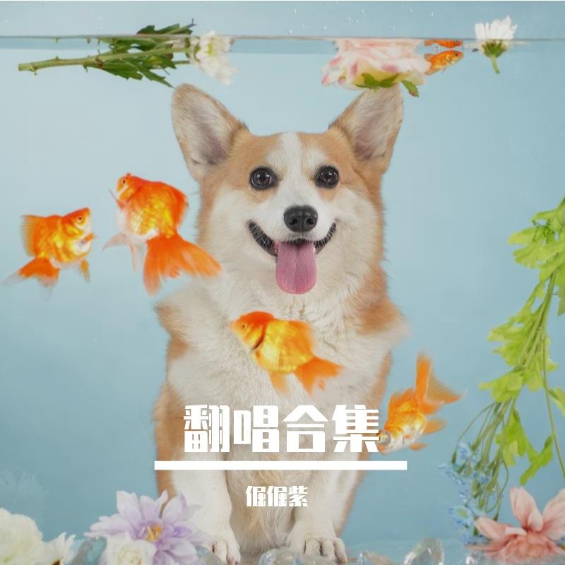 清平调(独唱版封面