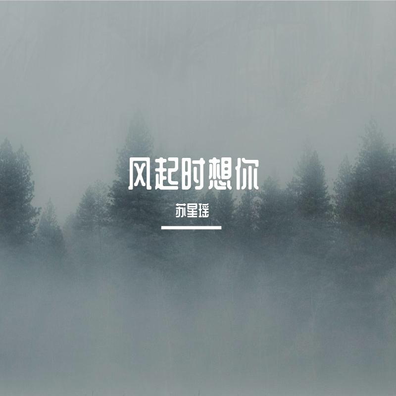 风起时想你封面