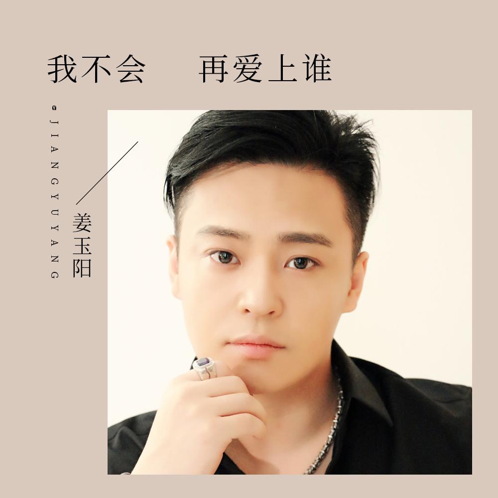 我不会再爱上谁封面