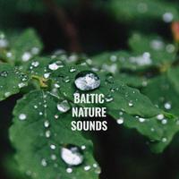 Baltic Nature Sounds