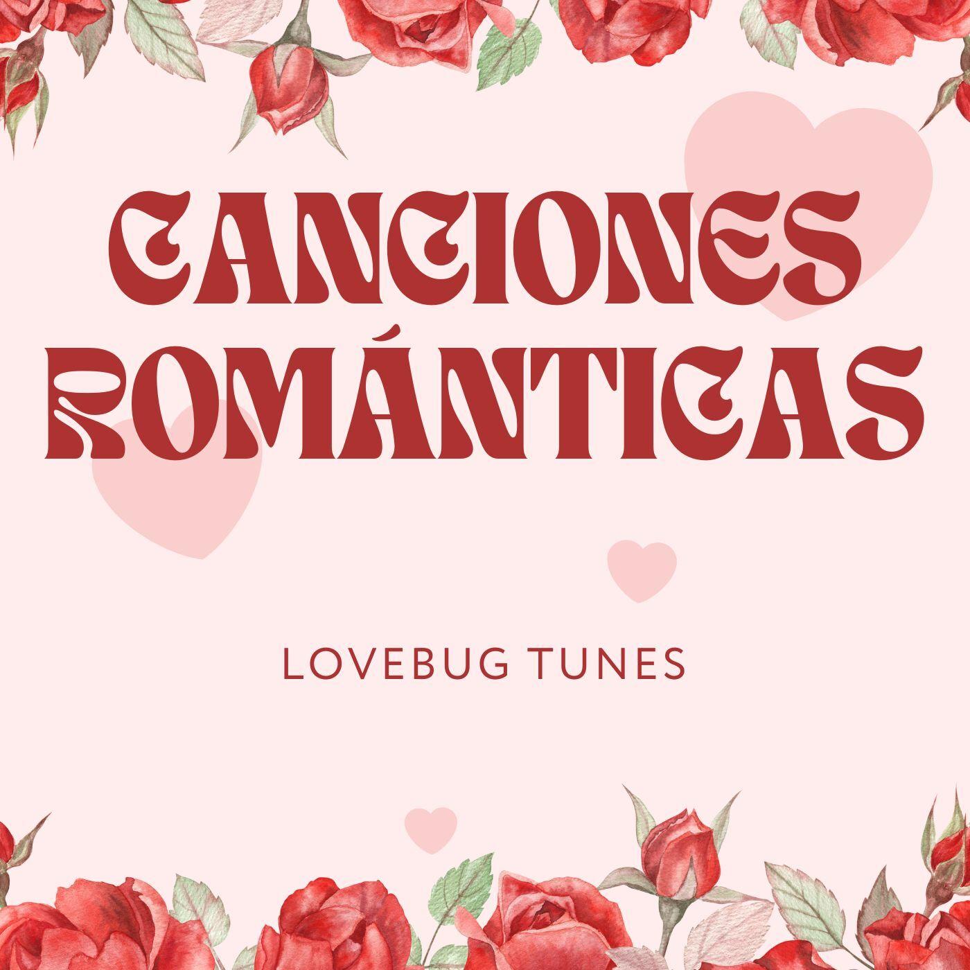 Notas de Amor y Paletas