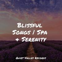 Blissful Songs | Spa & Serenity