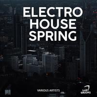 Electro House Spring