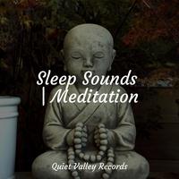 Sleep Sounds | Meditation