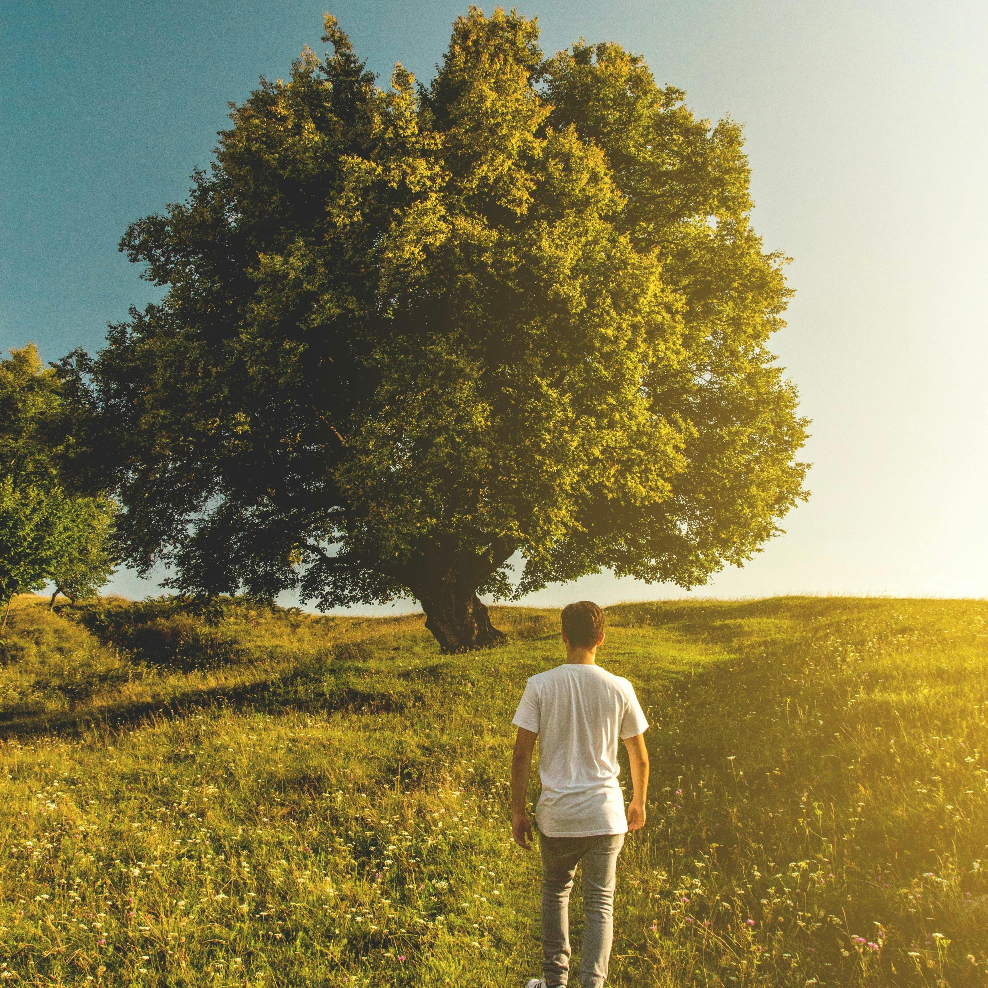 Good Morning Van Linde 专辑 网易云音乐