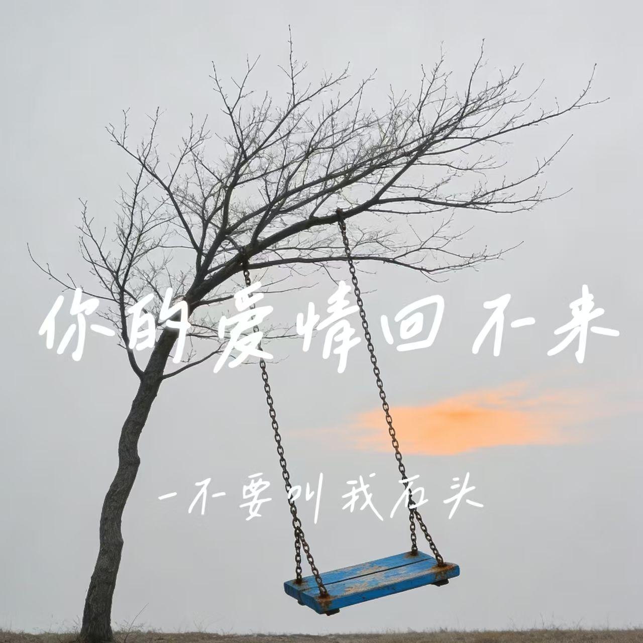 你的爱情回不来封面