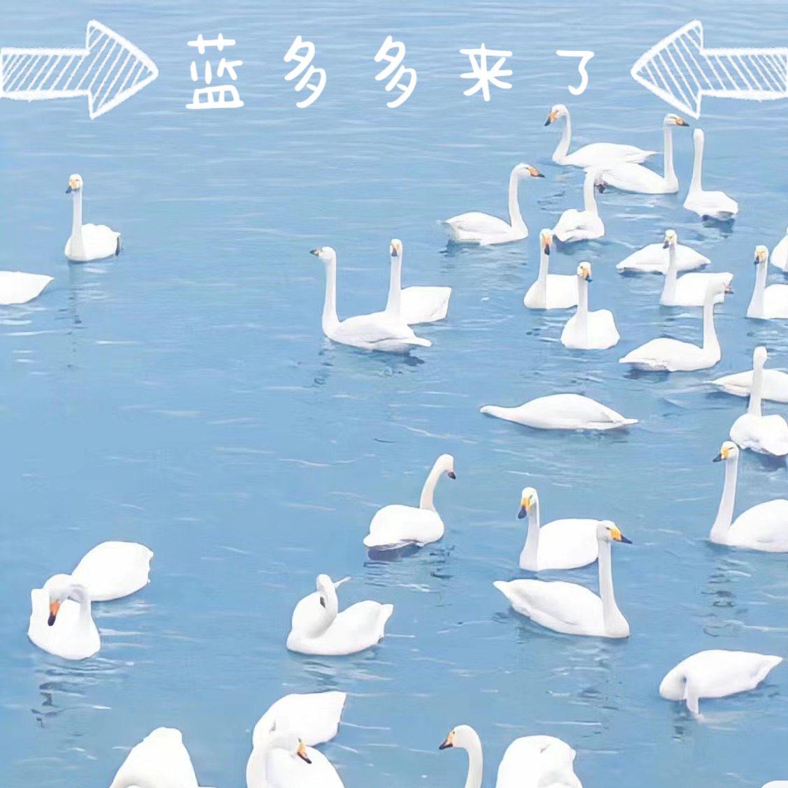 蓝多多来了_黄誉博._蓝多多来了 | 在线播放_蓝多多来了歌词_蓝多多来了下载 | 网易云音乐