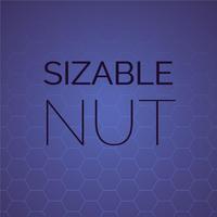 Sizable Nut