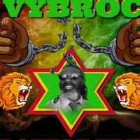 Vybroc