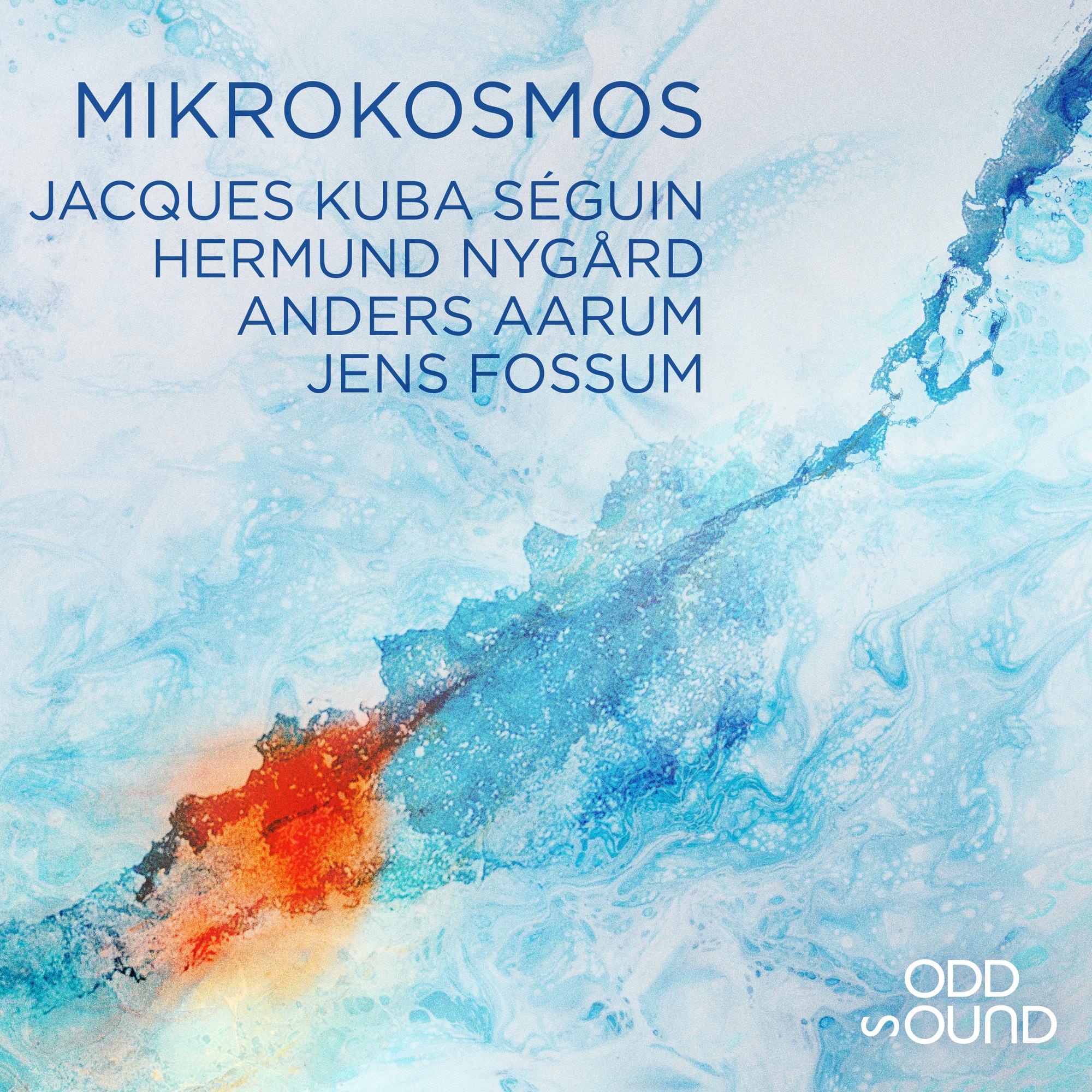 Berceuse d'hiver (Kolysanka dla Ameli)