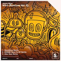 Wild (Remixes Vol. 2)