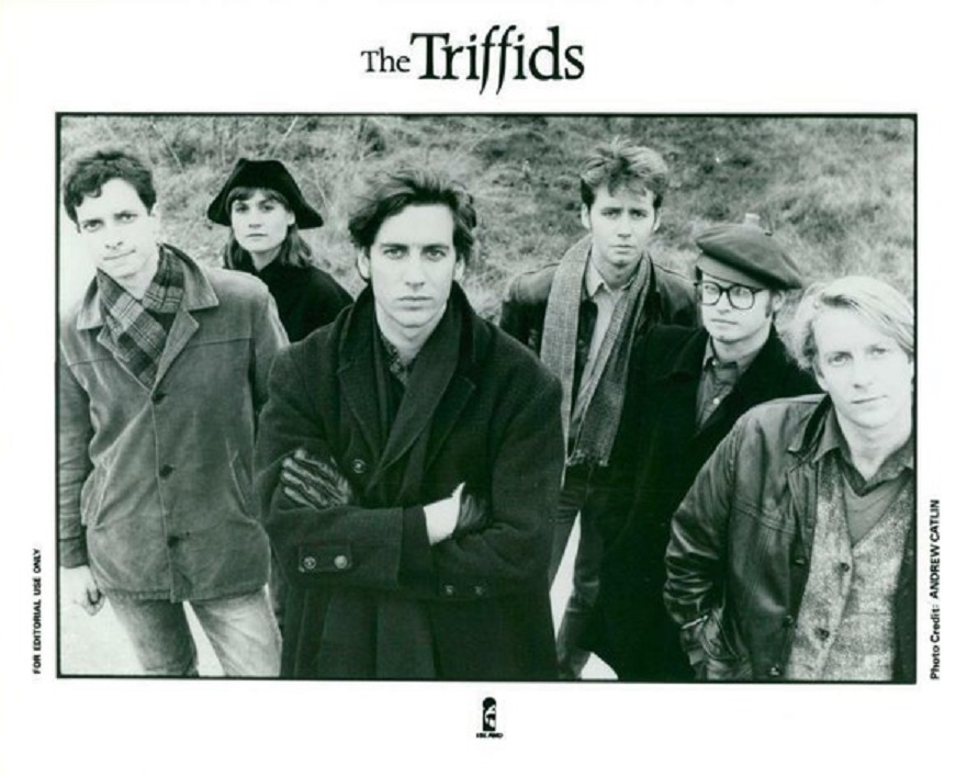 The Triffids