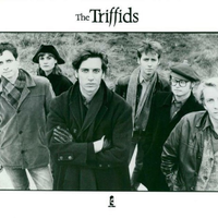 The Triffids