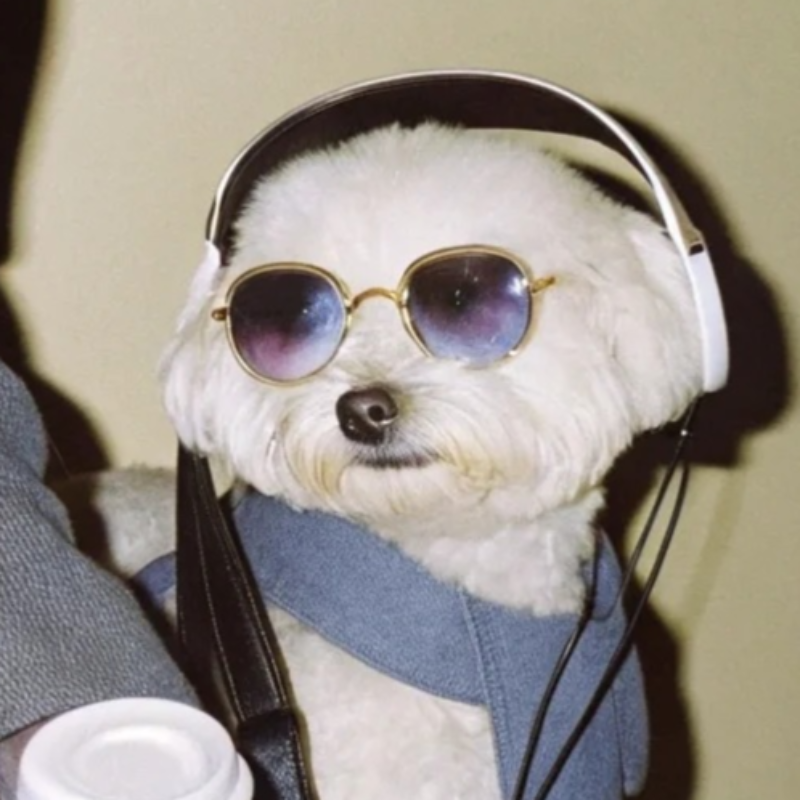 欧美｜牛马通勤攻略 早晚高峰路上听