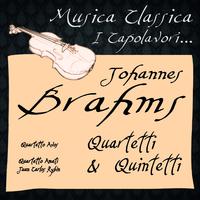 Johannes Brahms: Quartetti & Quintetti