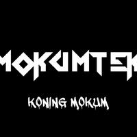 Mokumtek