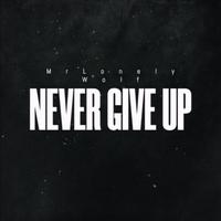 Never Give Up