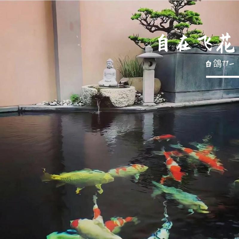 自在飞花封面