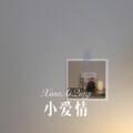 小爱情 (Remix)封面